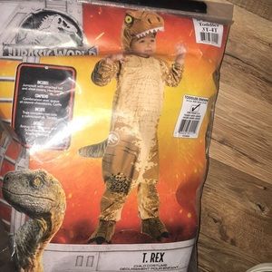 Dinosaur costume